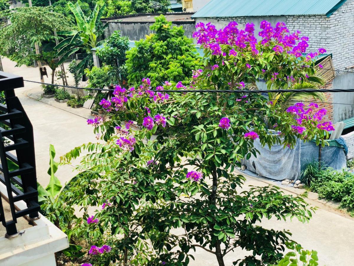 Ninh Binh Brother'S Homestay Eksteriør bilde