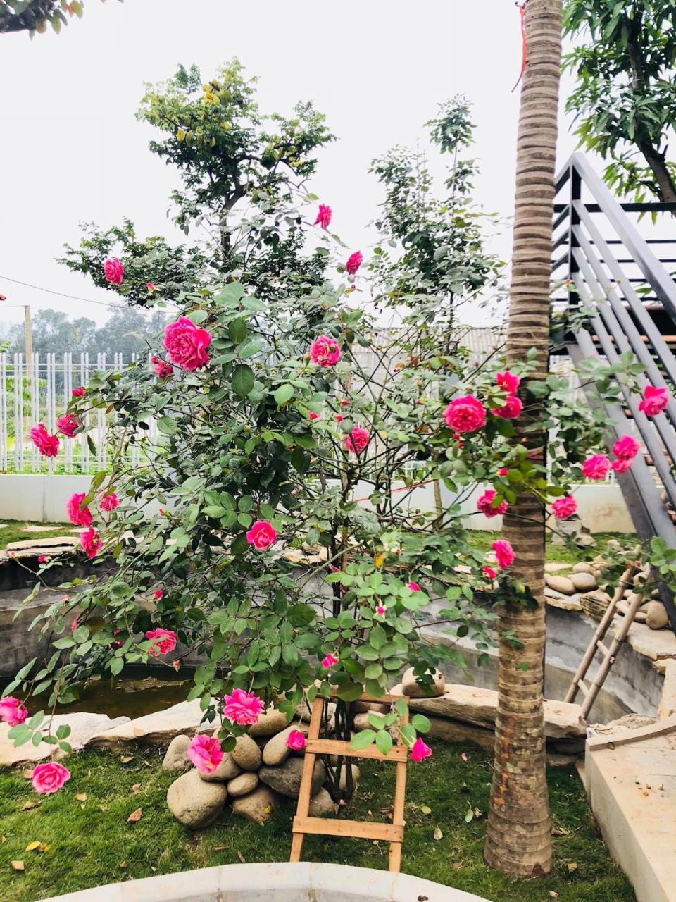 Ninh Binh Brother'S Homestay Eksteriør bilde