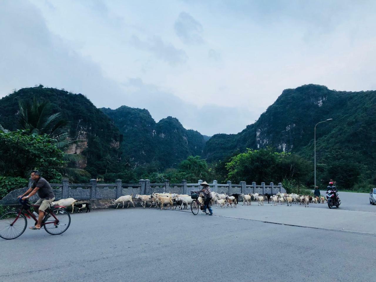 Ninh Binh Brother'S Homestay Eksteriør bilde