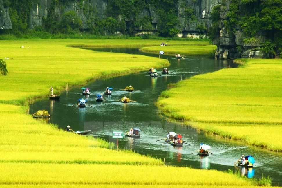 Ninh Binh Brother'S Homestay Eksteriør bilde